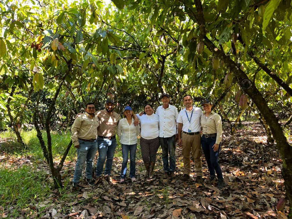 AGROSAVIA y Luker Agrícola trabajan en conjunto por el sector cacaotero nacional