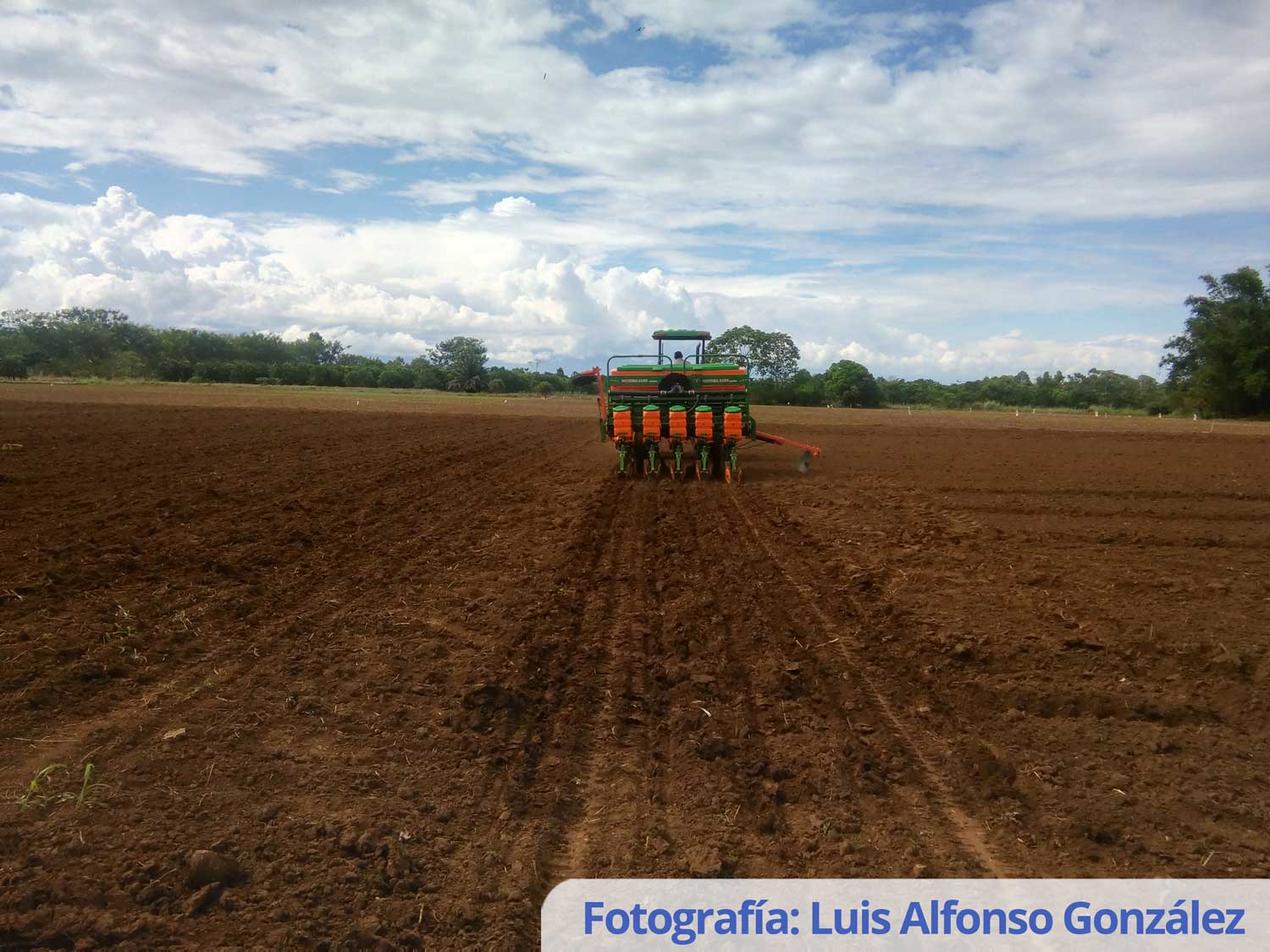 Recomendaciones para el manejo de suelos arroceros degradados del Piedemonte Llanero