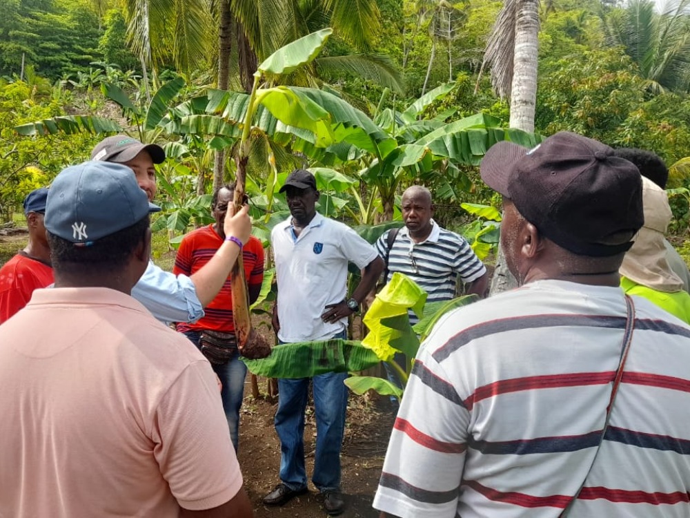 PV San Andrés3 AGROSAVIA