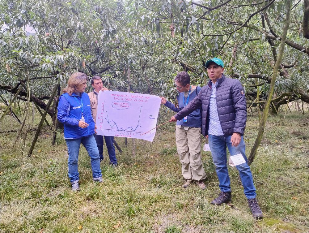 ICA Y AGROSAVIA Identificaron Necesidades De Capacitación En Durazno3 AGROSAVIA