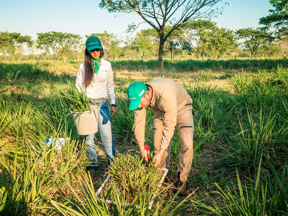 Curso de AlimenTro: Impulsando la eficiencia en la ganadería colombiana