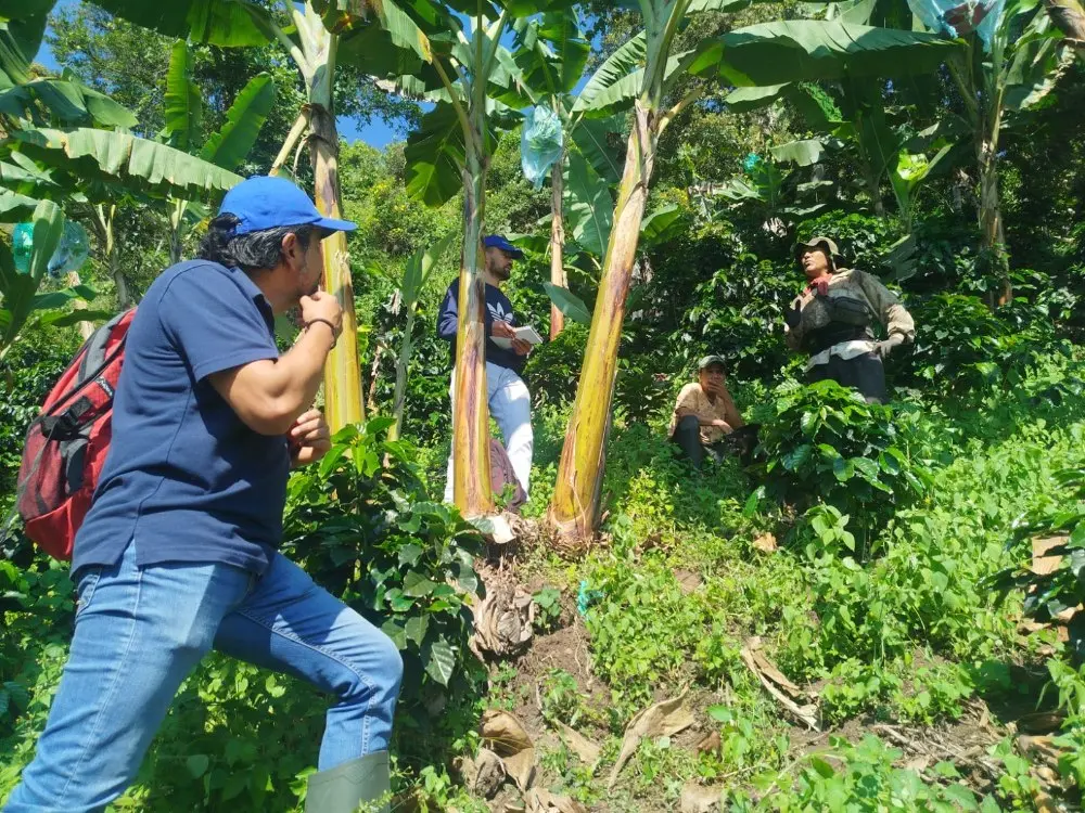 Alternativa que busca transformar el transporte agrícola en las ladera
