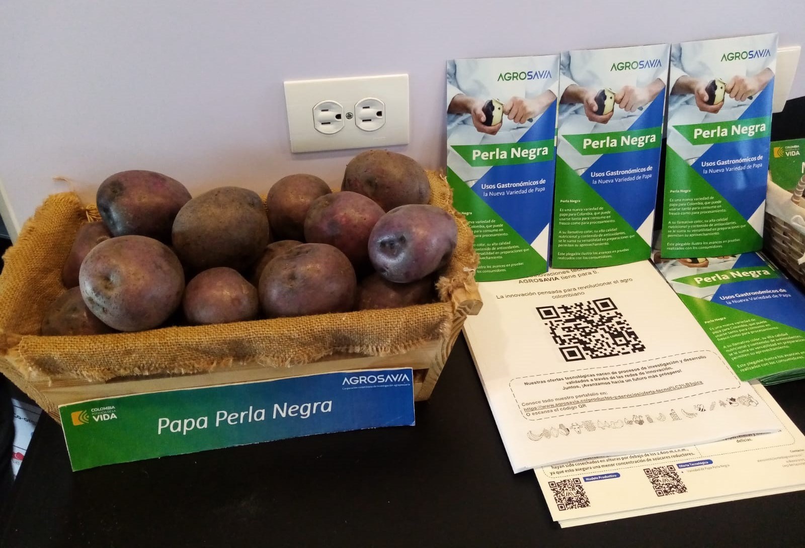 Cundinamarca Presenta Avances En Innovación Agropecuaria Y Agroindustrial2 AGROSAVIA