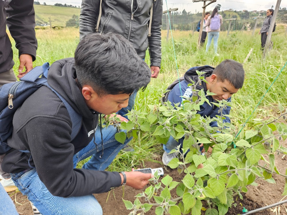 Se Fortalece La Red Ciudadana De Monitoreo De Punta Morada En Nariño4 AGROSAVIA