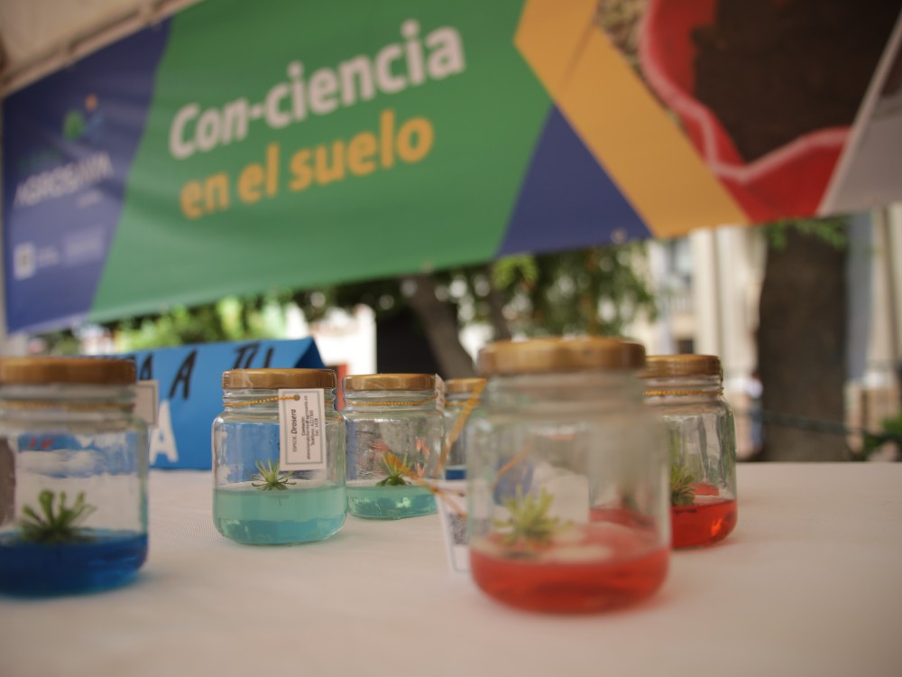 Expoagrosavia224 AGROSAVIA