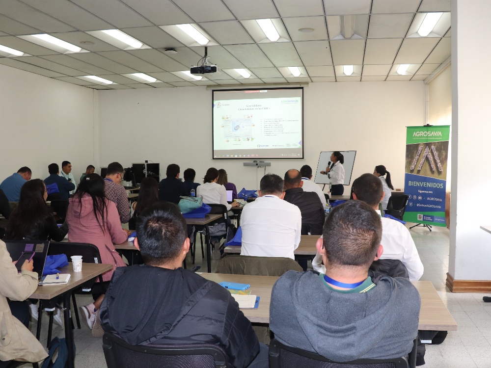 Seminario Académico Sobre Cadmio En Cacao Proyecto Fontagro3 AGROSAVIA