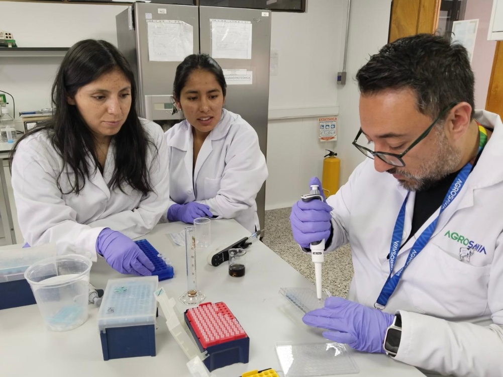 Cooperación Internacional Entre Colombia Y Perú4 AGROSAVIA