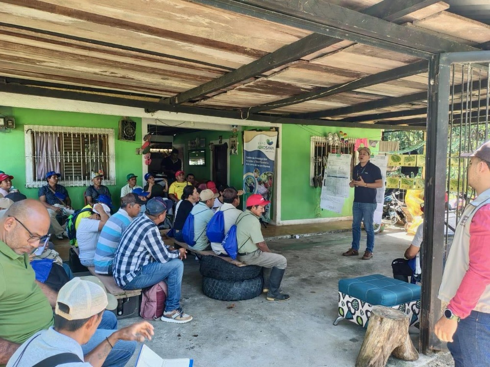 PV PUTUMAYO3 AGROSAVIA