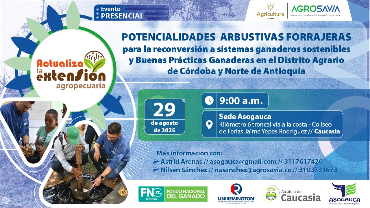 Evento 29 agosto