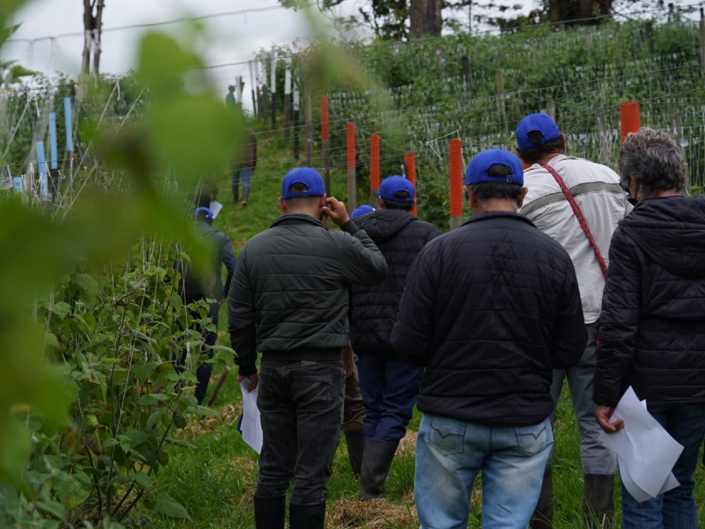 Taller Uchuva Granada2 AGROSAVIA