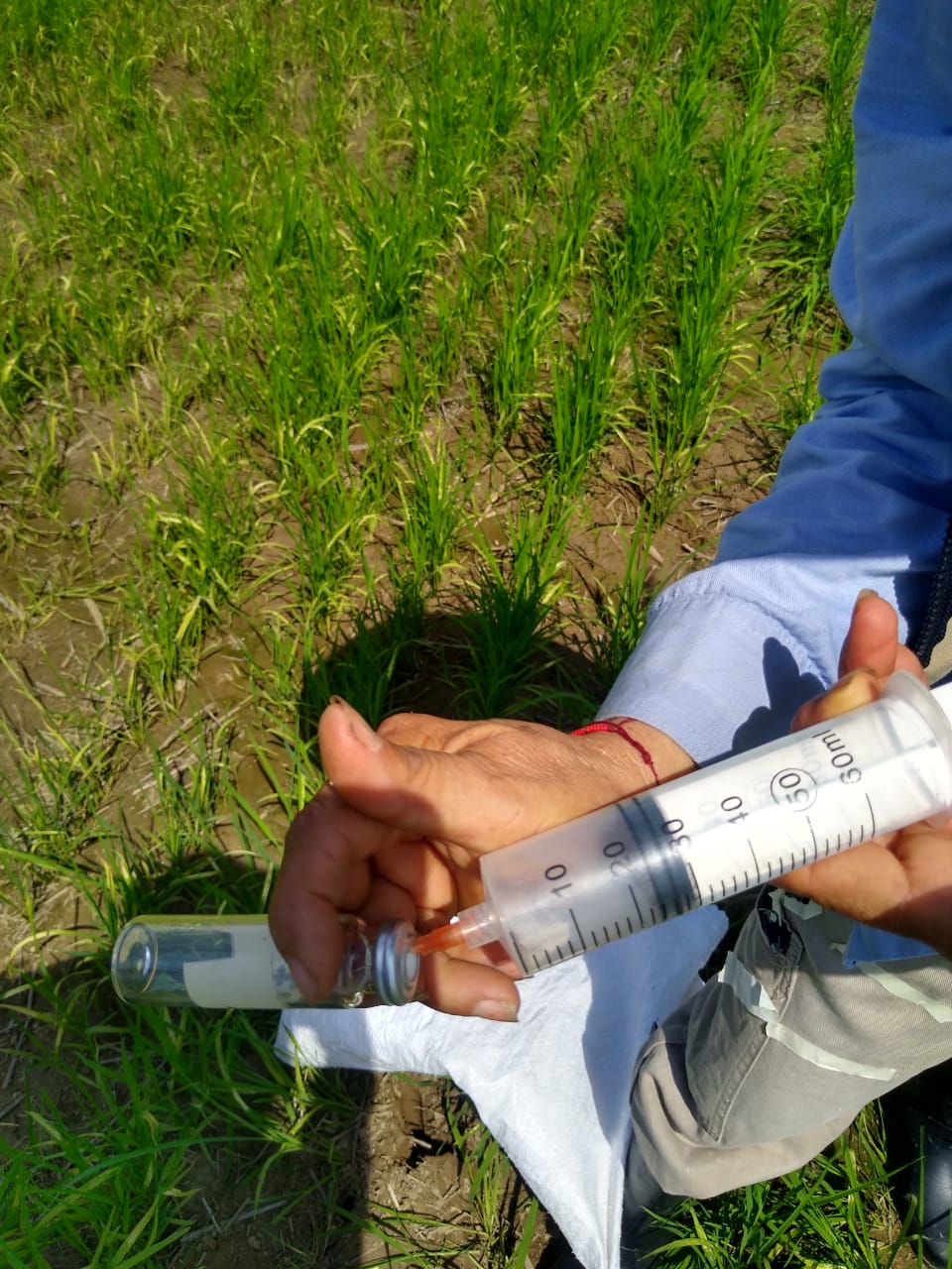 Whatsapp Image 2025 04 29 At 4.01.16 PM