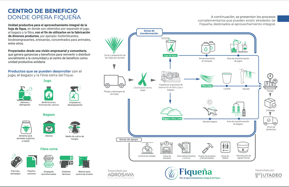 Infografía Fiqueña Web