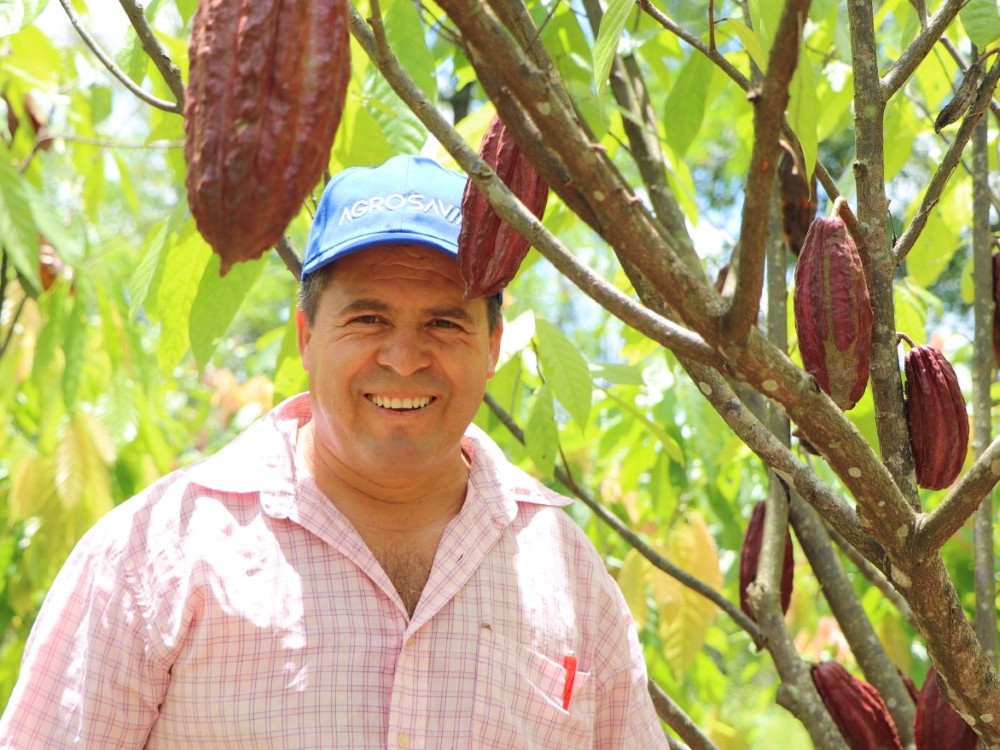 Cacao Arauca 3 AGROSAVIA