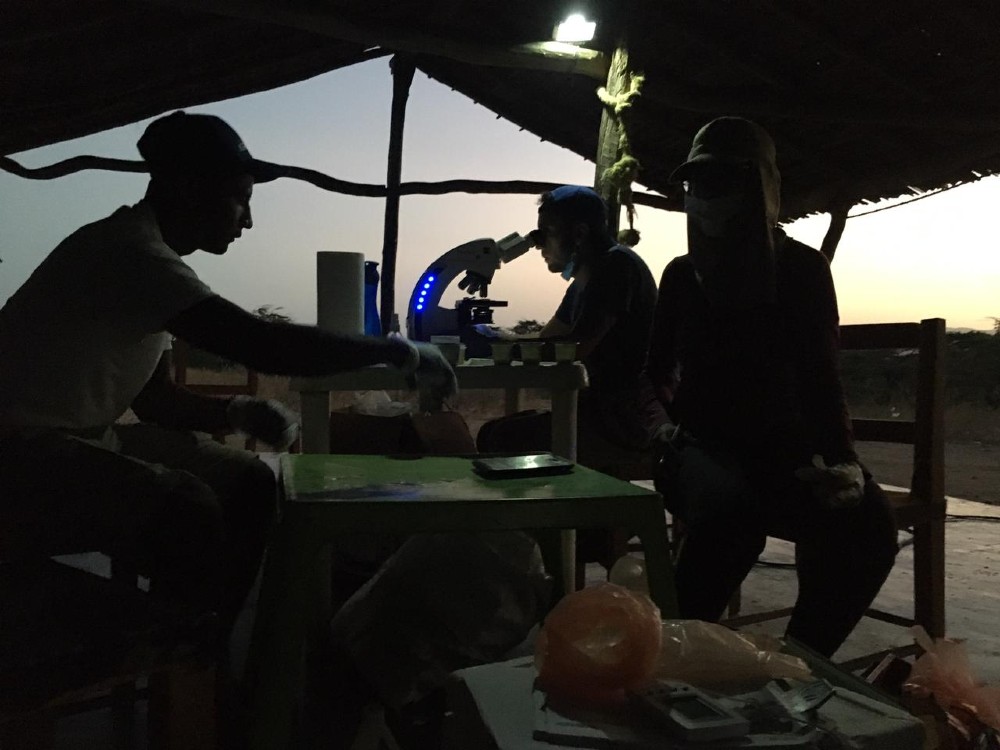 GUAJIRA Procesamiento Noche AGROSAVIA