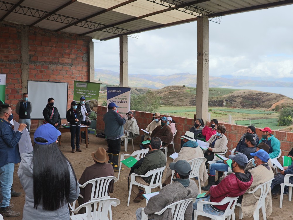 Proyecto De Reconversión Tecnológica Del Cultivo De Cebolla AGROSAVIA