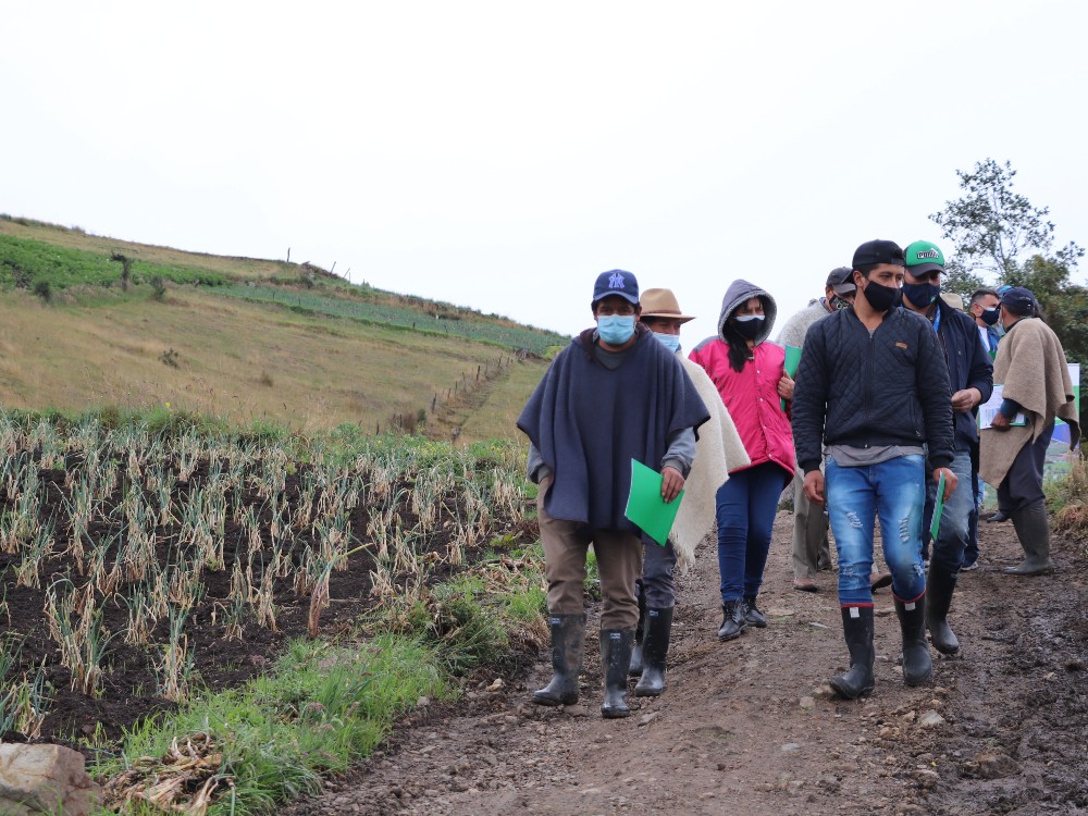 Proyecto De Reconversión Tecnológica Del Cultivo De Cebolla2 AGROSAVIA