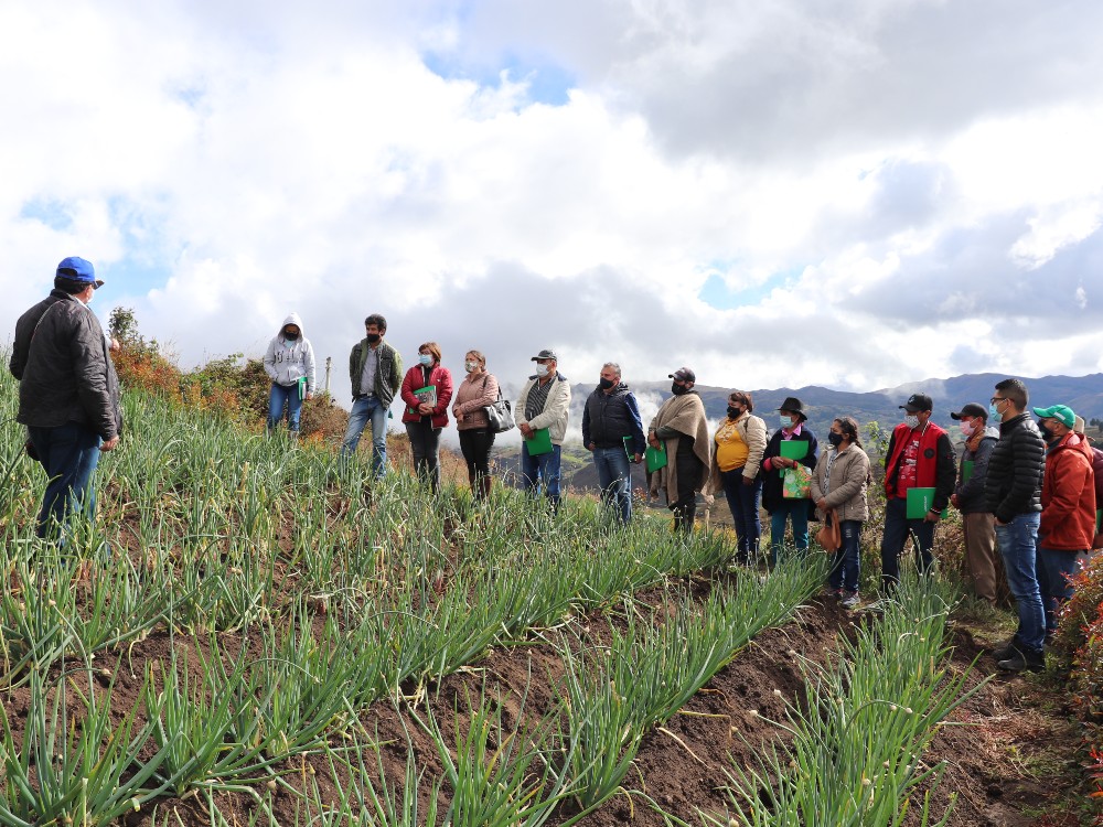 Finalizó exitosamente el proyecto de reconversión tecnológica del cultivo de cebolla larga en la cuenca del lago de tota