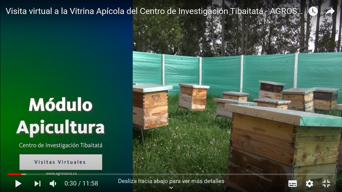 AGROSAVIA Ofrece Visitas Virtuales Al Centro De Investigación Tibaitatáapi1