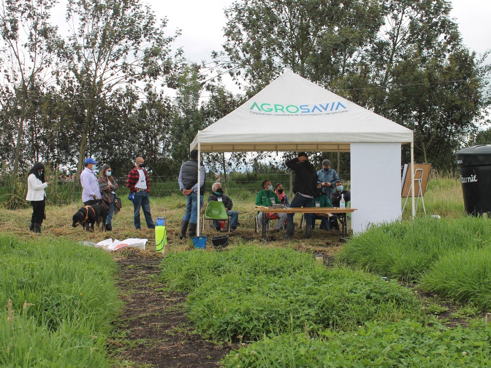 Dia De Campo Tibaitatá3 AGROSAVIA