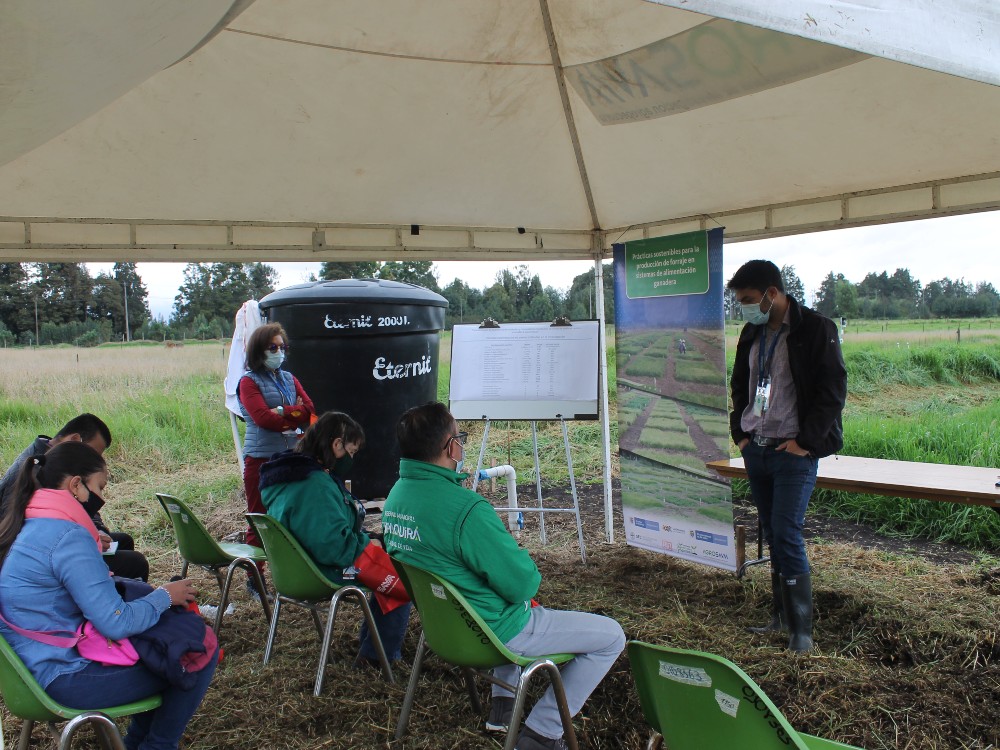 Dia De Campo Tibaitatá4 AGROSAVIA