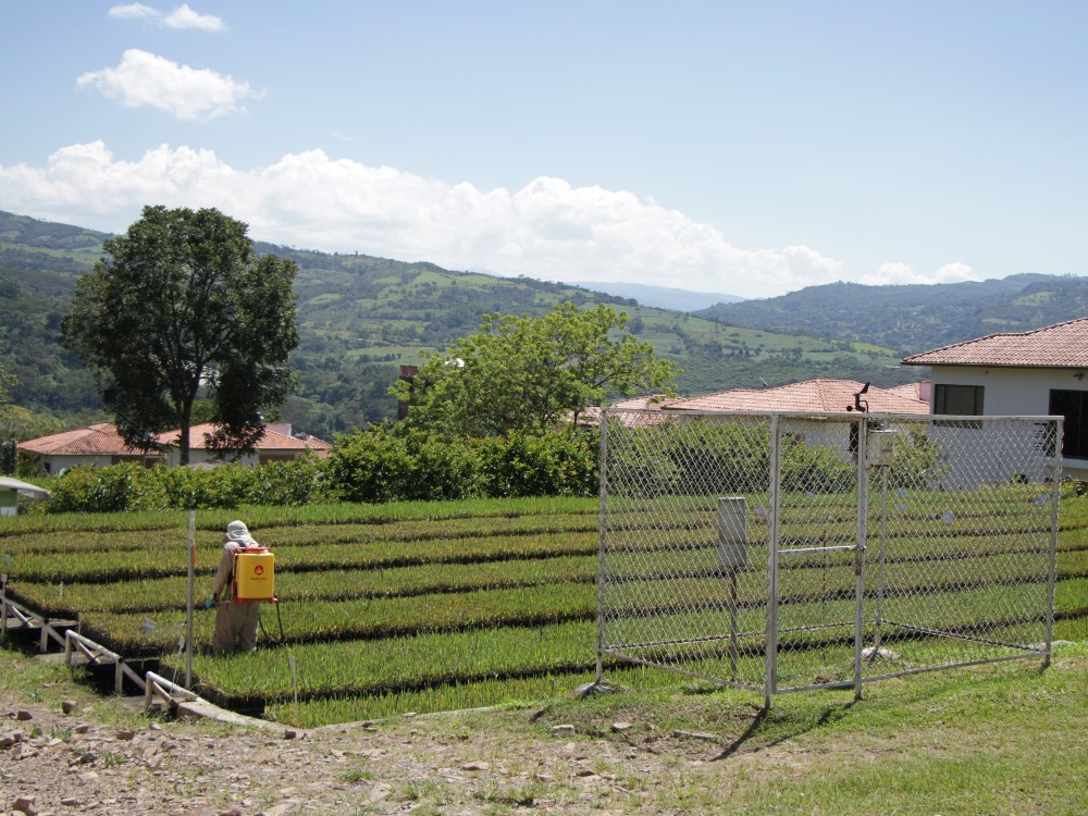 Cimpa 35 Años3 AGROSAVIA