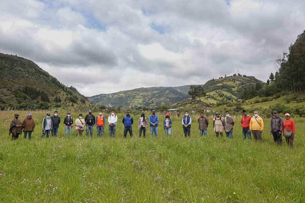 Gira Cauca Quinua Lote Silvia2 AGROSAVIA