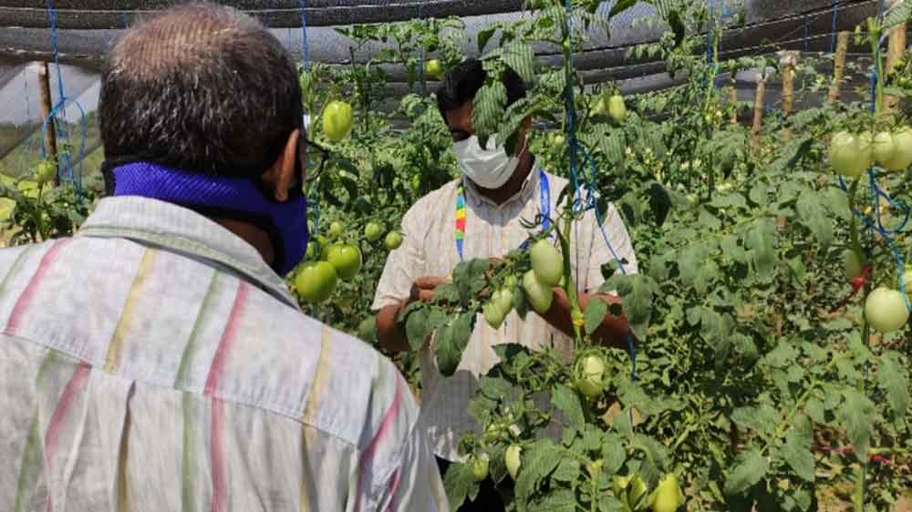 Excombatientes del Caribe reciben acciones de transferencia en agrotecnología