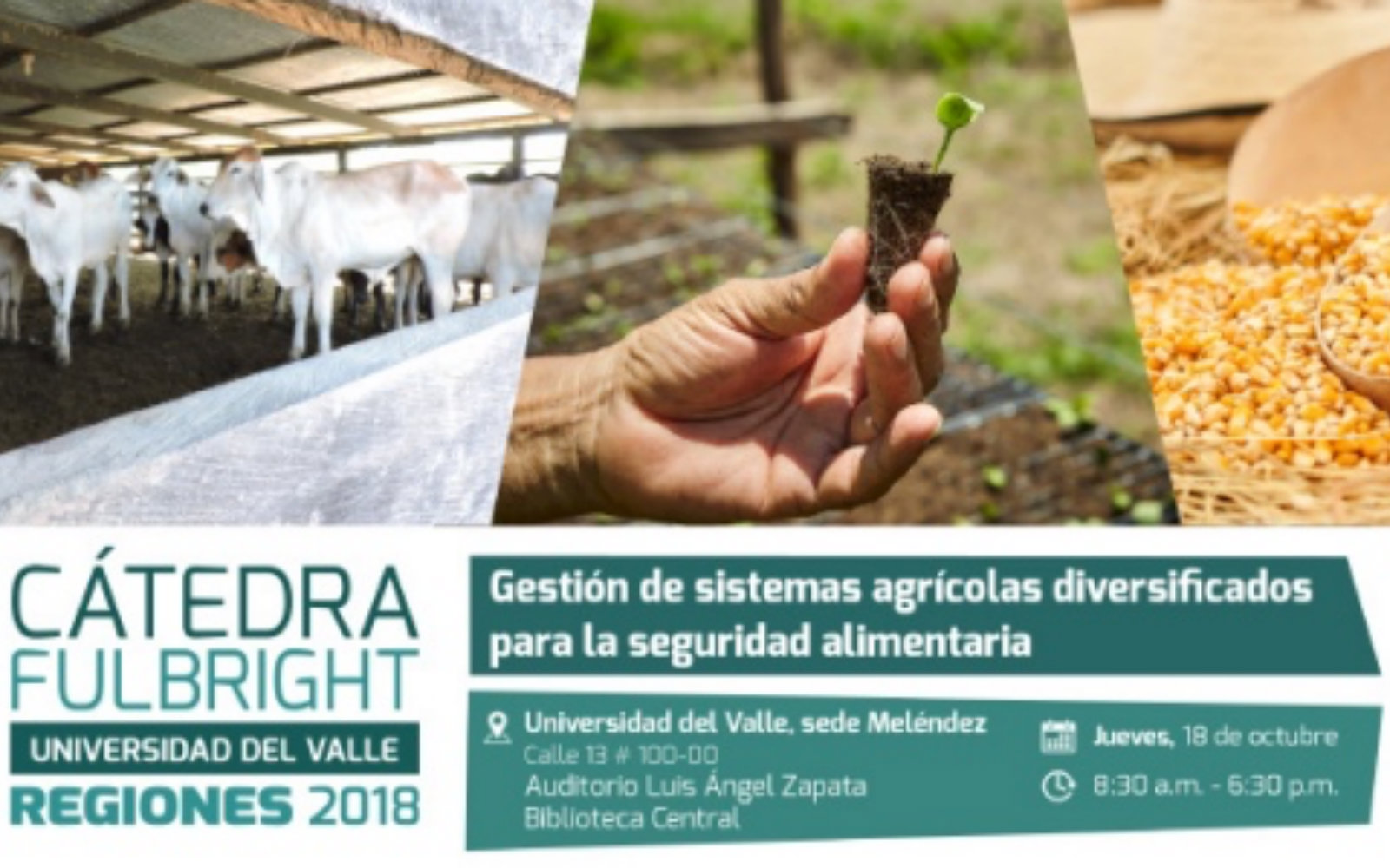 Explorando los desafíos y las oportunidades para una agricultura sostenible