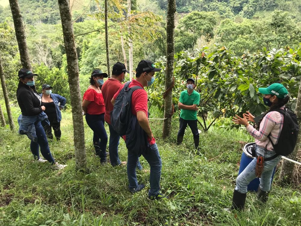 Díadelárbol2 AGROSAVIA