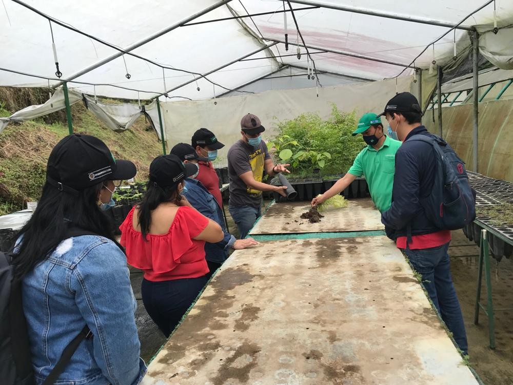 Díadelárbol3 AGROSAVIA