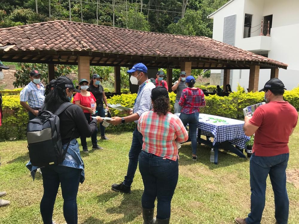 Díadelárbol5 AGROSAVIA