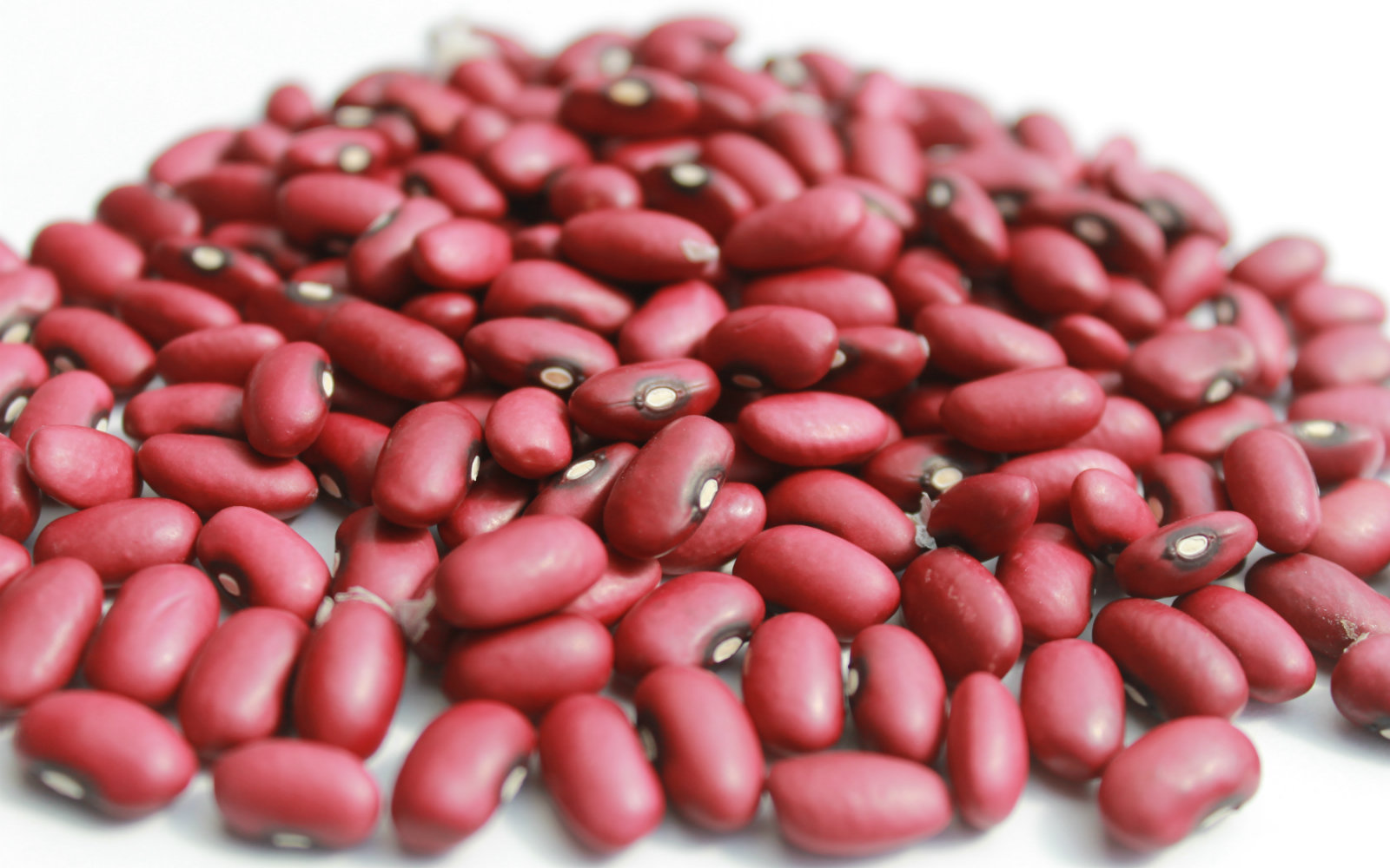 MinAgricultura y AGROSAVIA lanzan nueva variedad de fríjol biofortificado de alta calidad nutricional y culinaria
