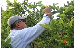 Doris E. Canacúan; Arturo Carabalí 4