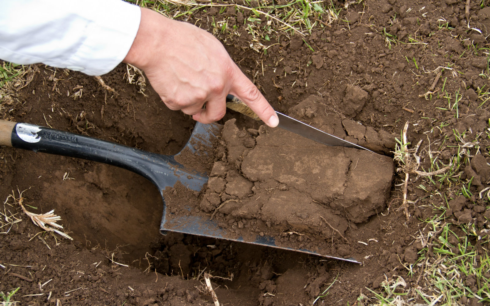 Ya son más de 10.000