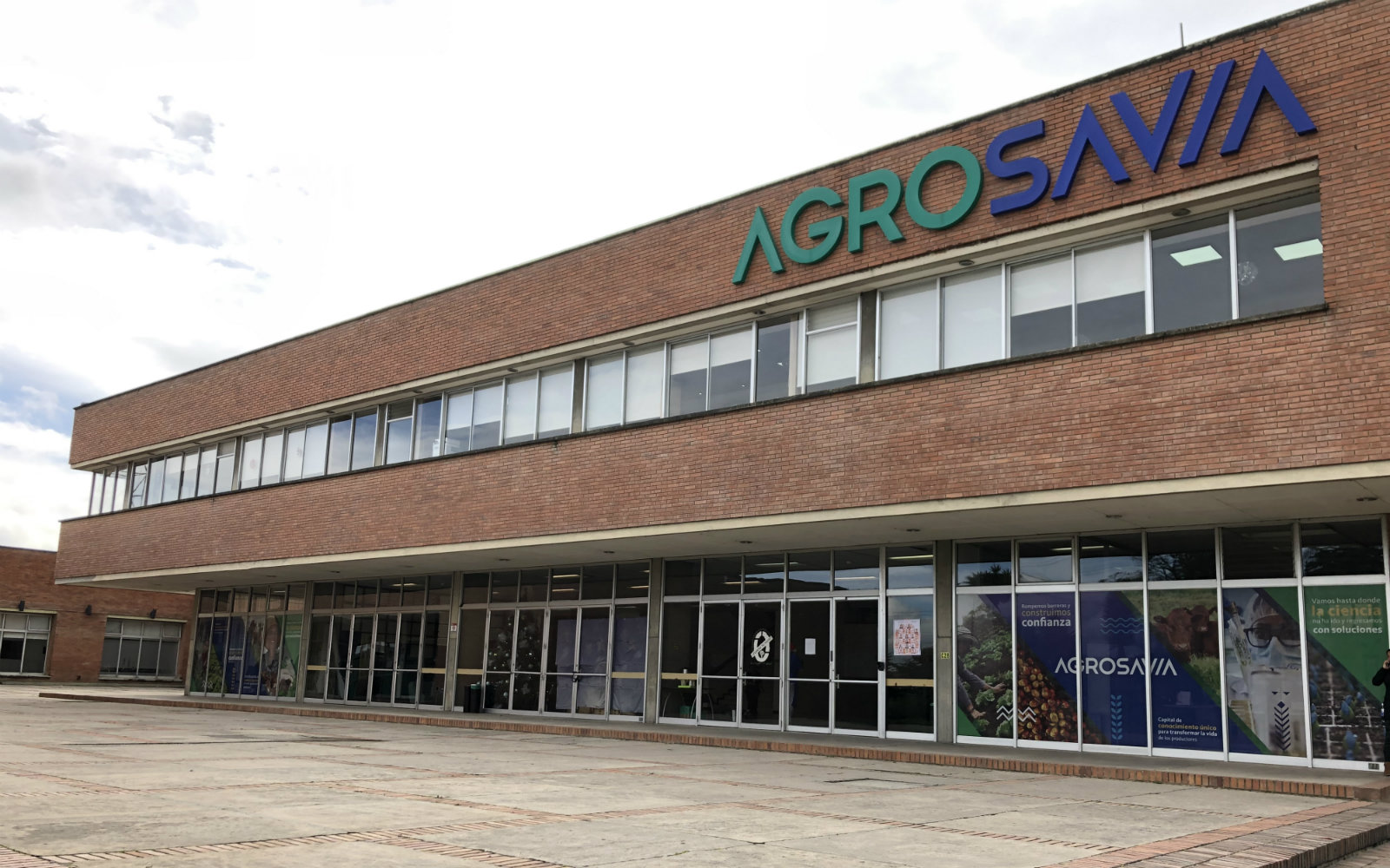 Se busca nuevo Director Ejecutivo para AGROSAVIA