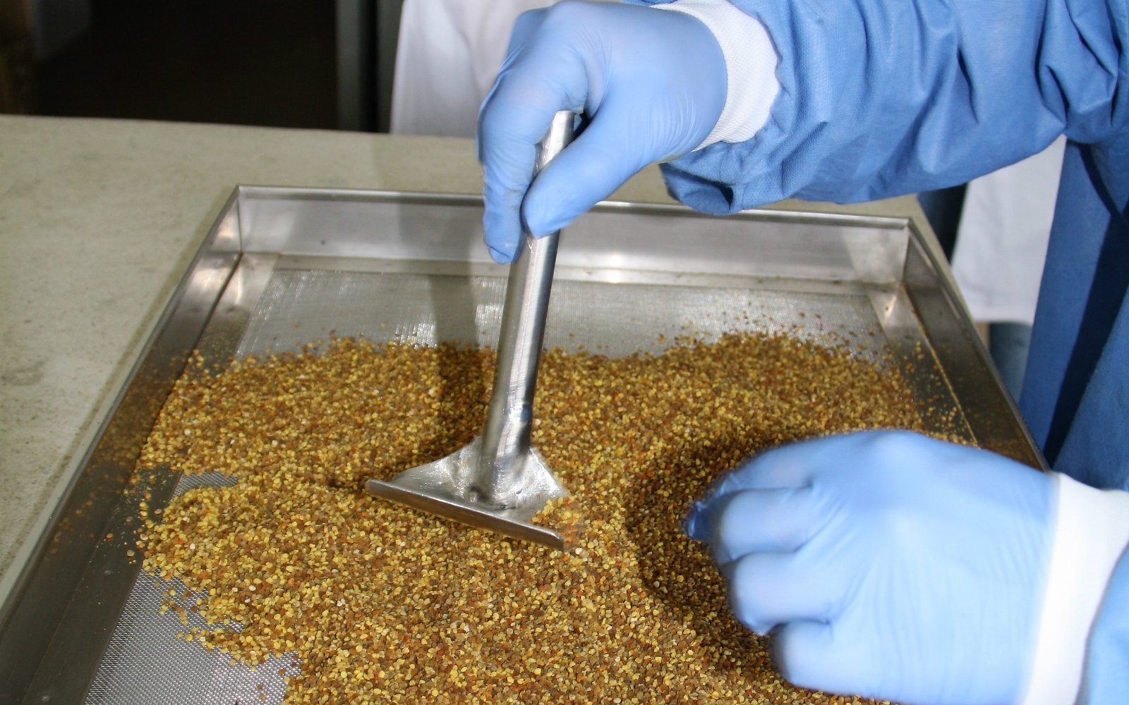 Polen de calidad mejorará la nutrición infantil en Cundinamarca