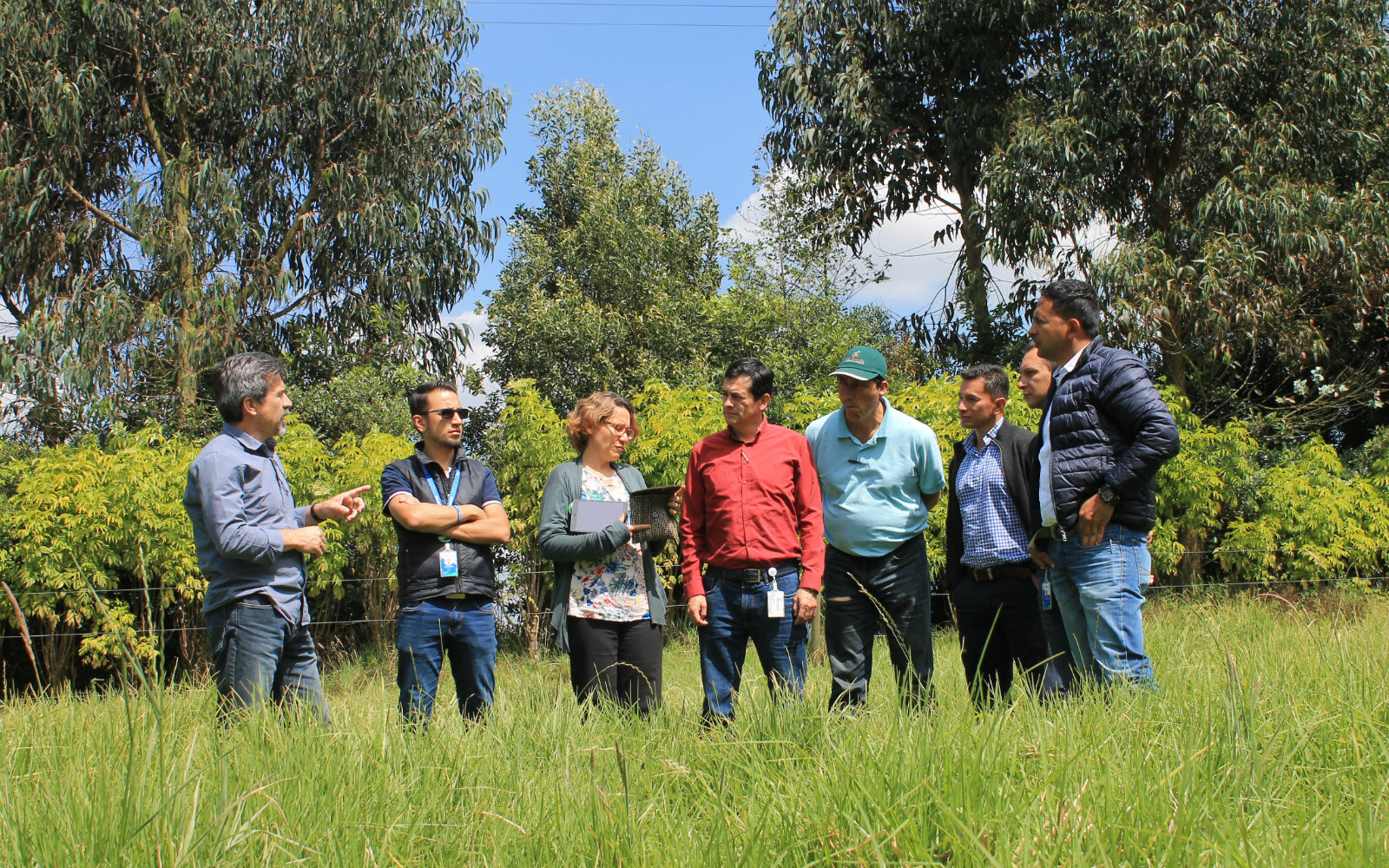 Nuevo horizonte para el desarrollo agrosilvopastoril en Colombia