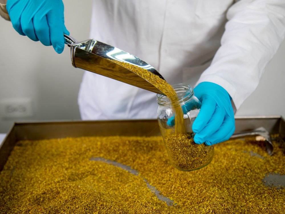 Ciencia, Tecnología E Innovación Para La Producción Apícola Colombiana4 AGROSAVIA
