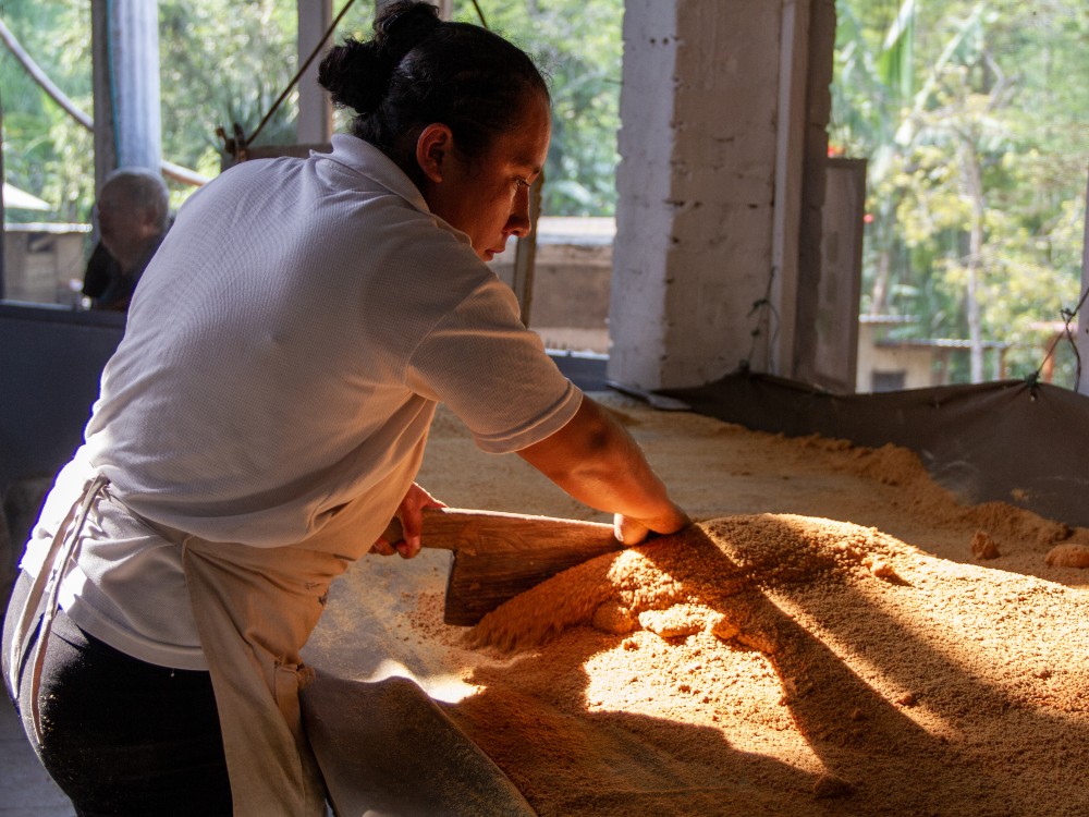 Tecnologías de la caña y la panela más cerca del productor