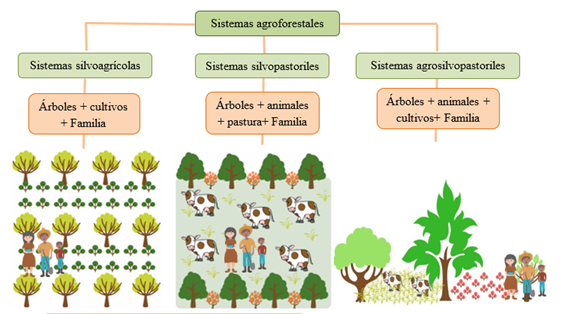 Figura 1 Ssp
