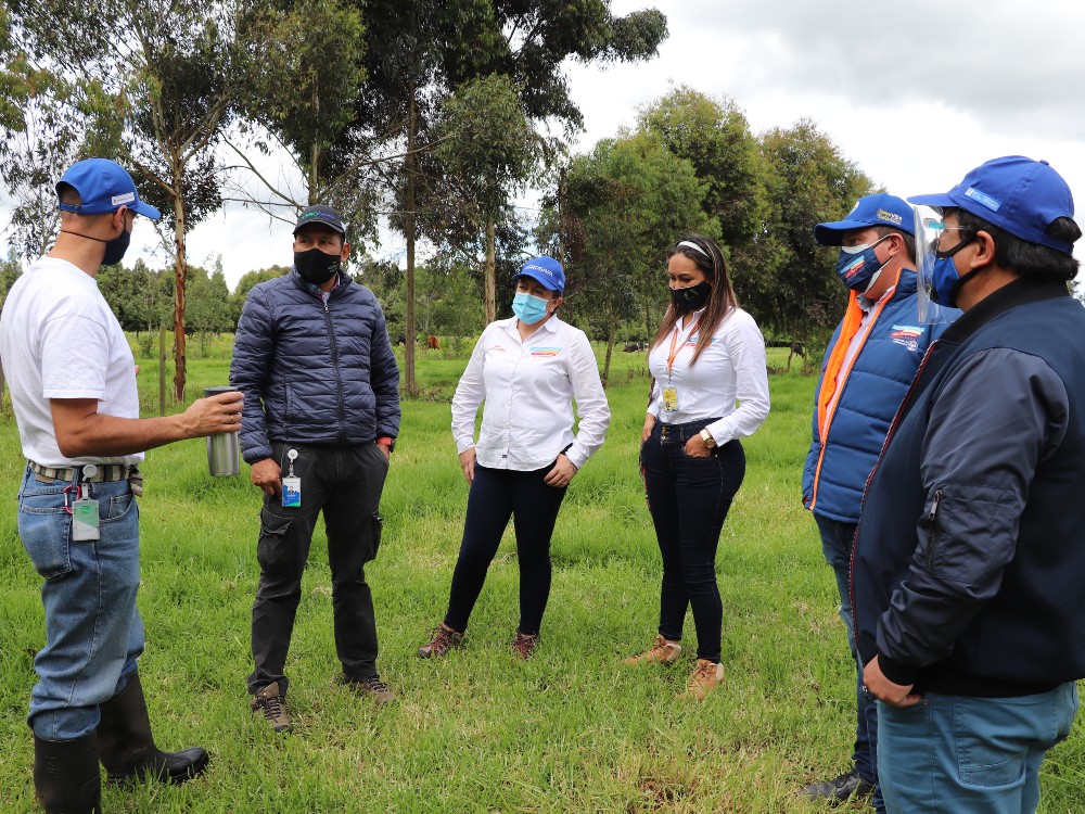 Aunando Esfuerzos Por La Reforestación De Cundinamarca2 AGROSAVIA