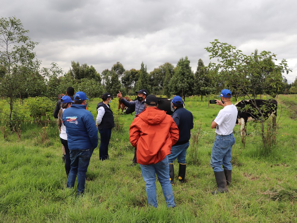 Aunando Esfuerzos Por La Reforestación De Cundinamarca3 AGROSAVIA