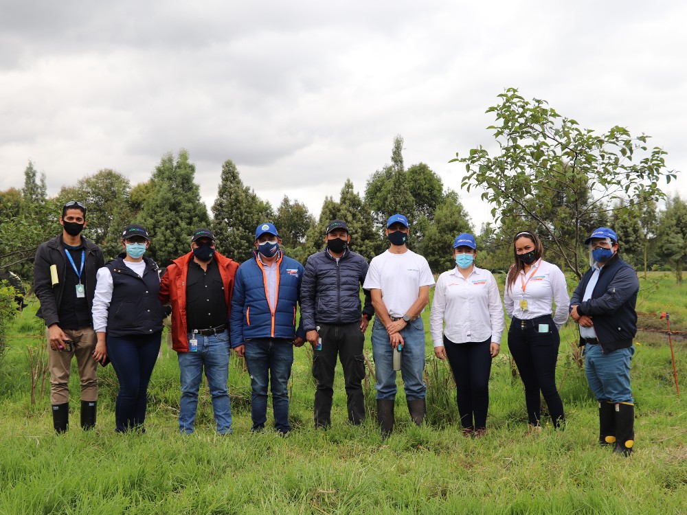Aunando Esfuerzos Por La Reforestación De Cundinamarca6 AGROSAVIA