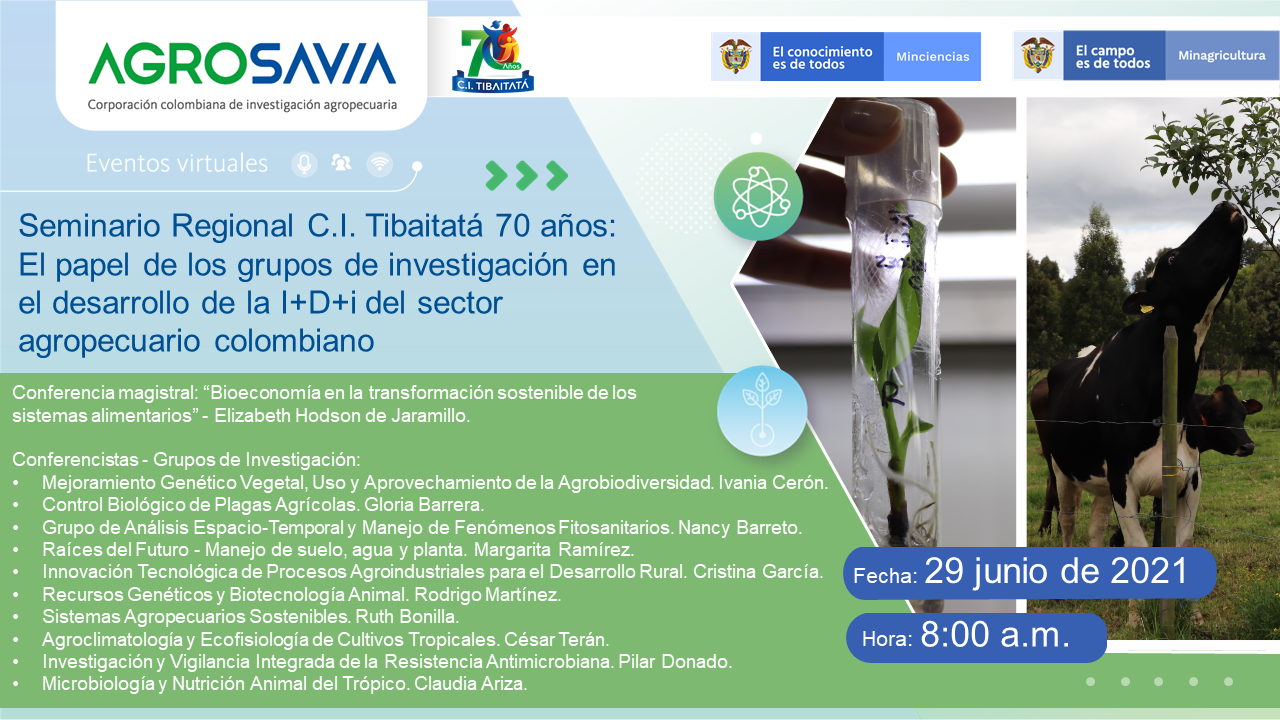 Invitación Seminario Regional Tibaitatá