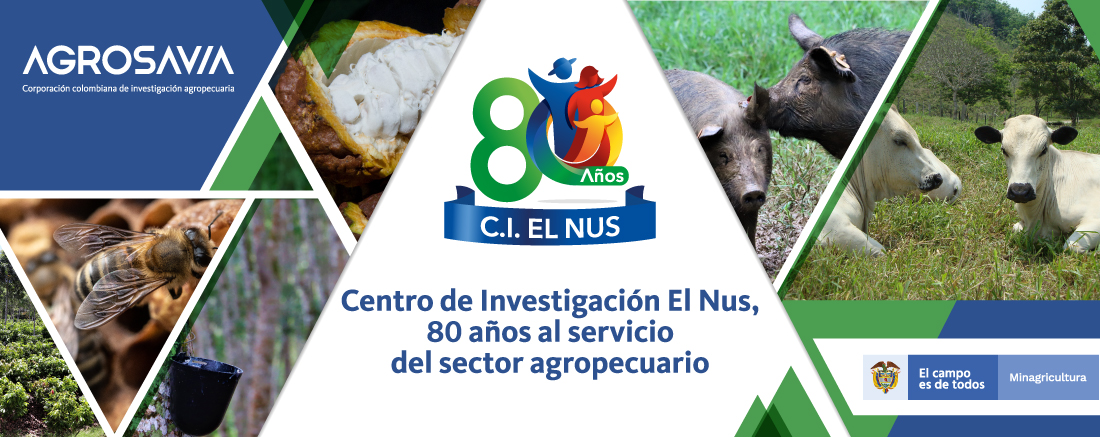 Banner 80 Años El Nus