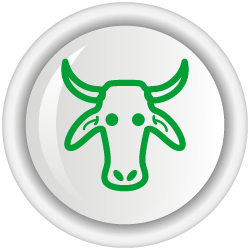 Genomic information platform on the Zebu Brahman breed for use in selection and genetic breeding