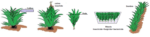 Imagen1