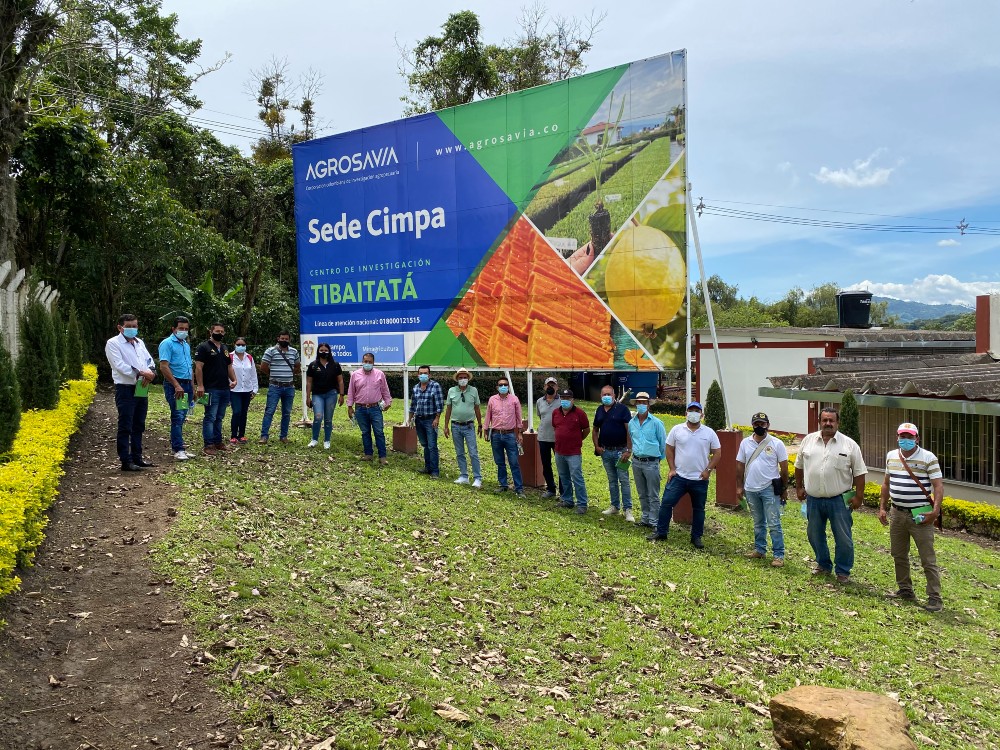 Sistema térmicamente eficiente para la producción de panela