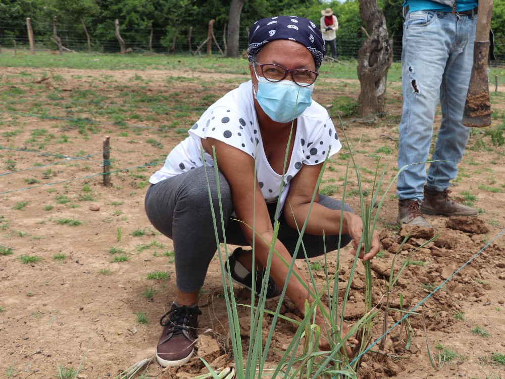 Organización comunitaria, aspecto clave para seguridad y soberanía alimentaria