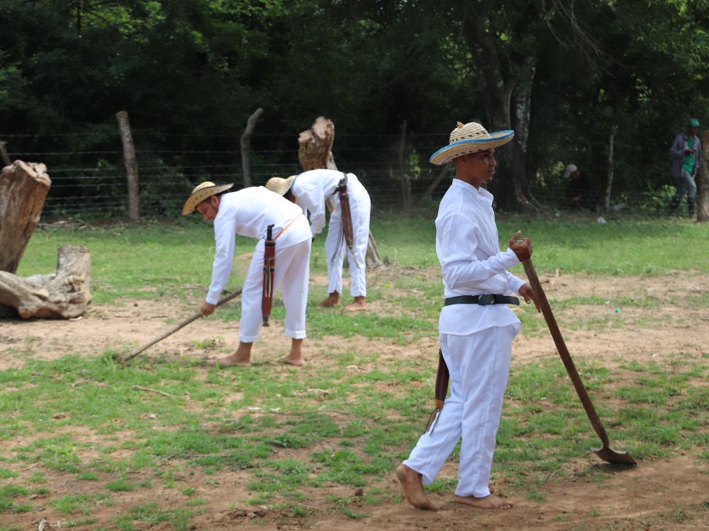 SEMPEGUA3 AGROSAVIA